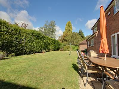 Picture 26